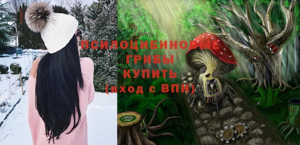 2c-b Бронницы