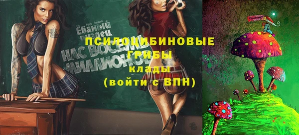 кокс Бородино