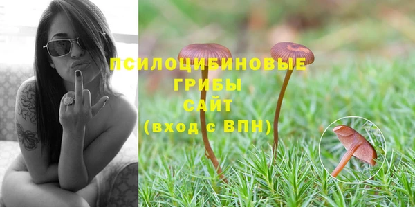 2c-b Бронницы