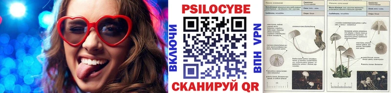 купить  цена  блэк спрут сайт  Галлюциногенные грибы MAGIC MUSHROOMS  Михайловка 